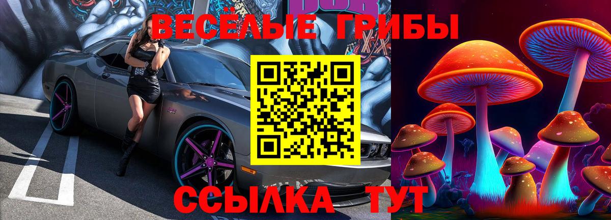 Псилоцибиновые грибы MAGIC MUSHROOMS Мыски